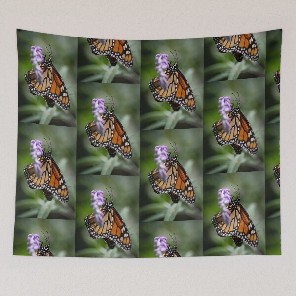 Item preview, Monarch Danaus Plexippus designed and sold by Henrik Lehnerer.