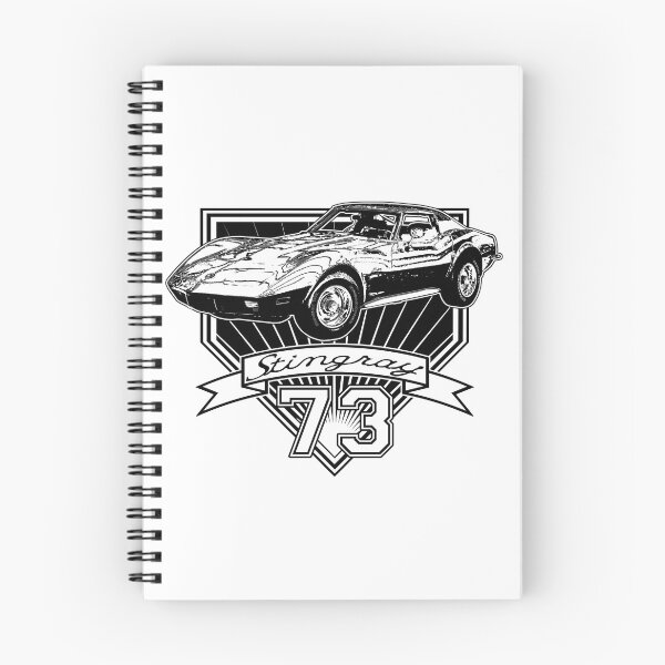 Item preview, 1973 Corvette Stingray designed and sold by CoolCarVideos.