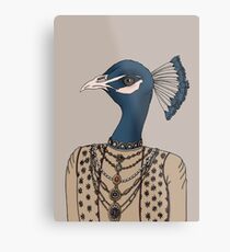 Indian Peacock Metal Print