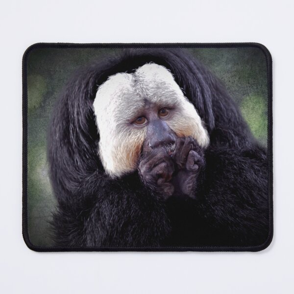 Item preview, White-faced Saki Monkey designed and sold by Savannah Gibbs.
