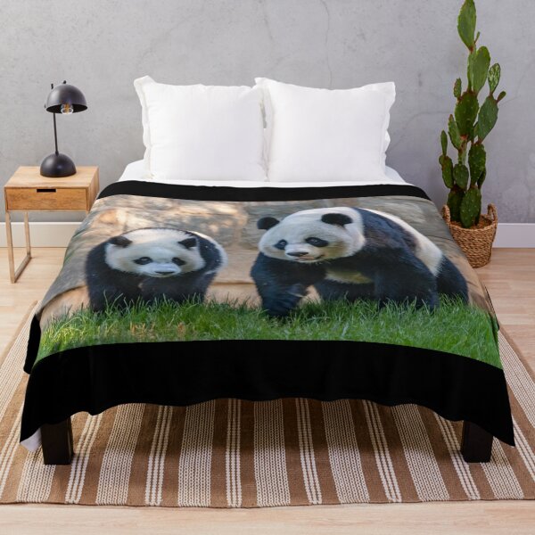 Item preview, Giant Pandas Xiao Qi Ji and Mei Xiang at the Smithsonian's National Zoo designed and sold by Zoo and Nature Photography by Karie.