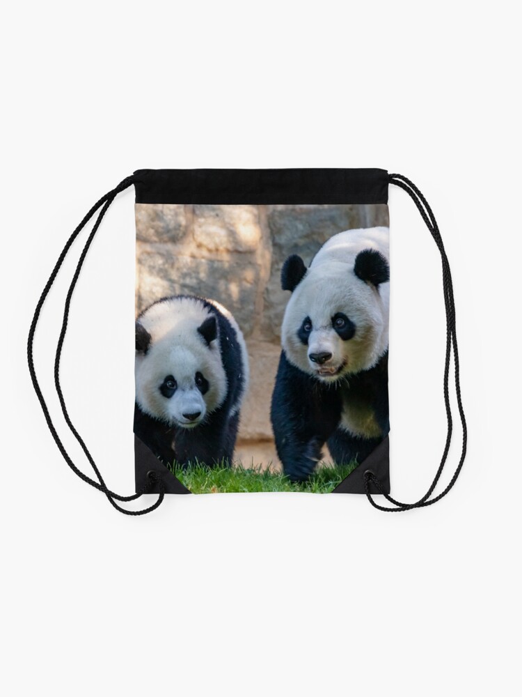 Alternate view of Giant Pandas Xiao Qi Ji and Mei Xiang at the Smithsonian's National Zoo Drawstring Bag