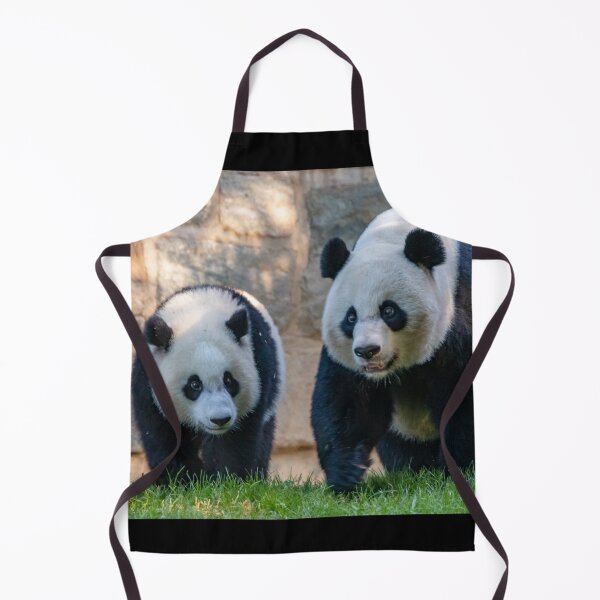Item preview, Giant Pandas Xiao Qi Ji and Mei Xiang at the Smithsonian's National Zoo designed and sold by Zoo and Nature Photography by Karie.