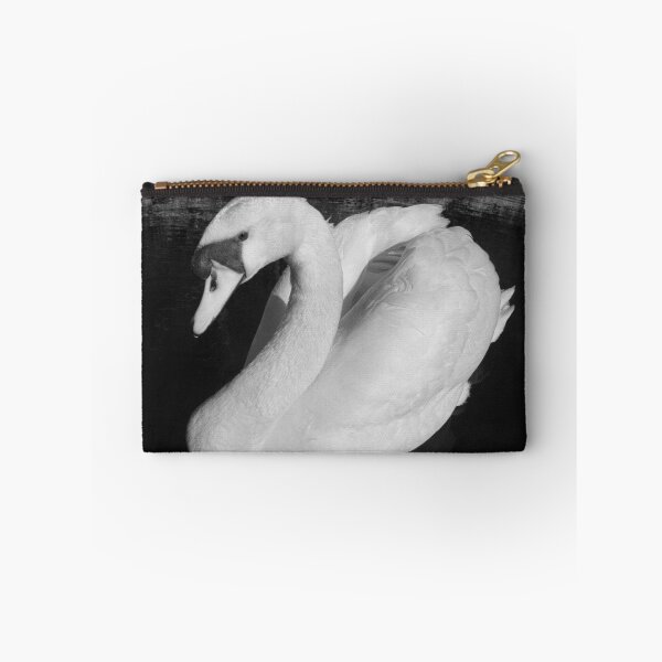 Aperçu de l'œuvre A Swan créée et vendue par SylviaHardy.