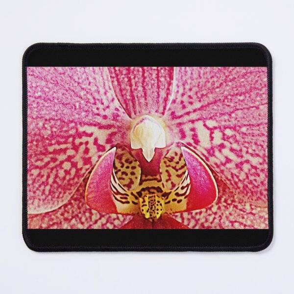 Item preview, Phalenopsis Close-up designed and sold by angel1.