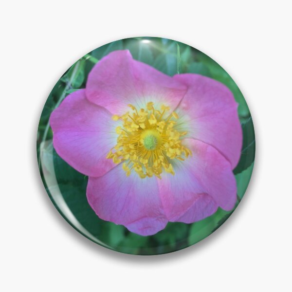 Item preview, Dog rose designed and sold by Tizz07.