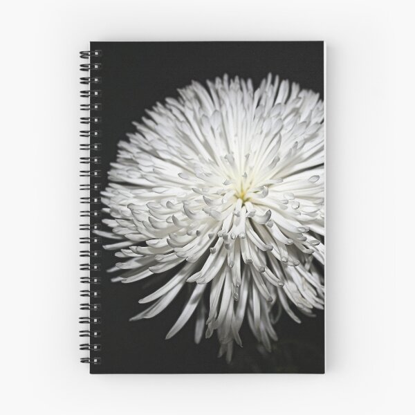 Item preview, REACHING OUT designed and sold by BOLLA67.