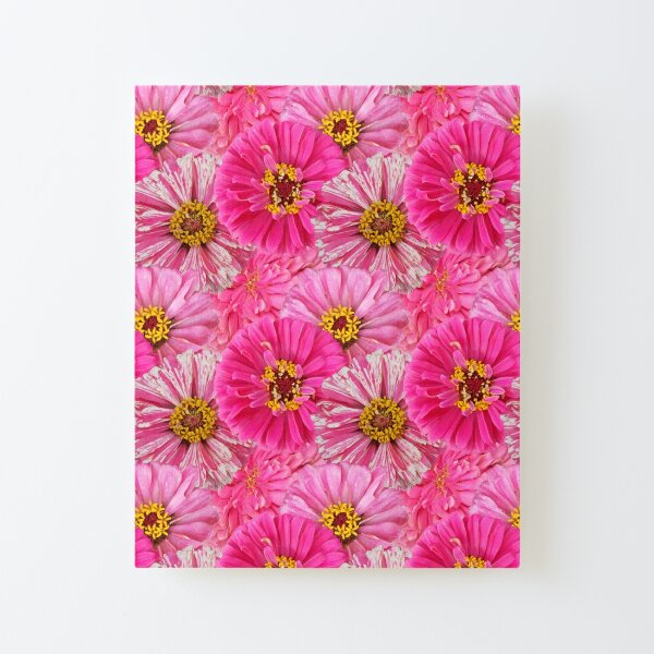 Zinnia Garden No. 7, Illumination Pink and Candy Cane Pink Flower Garden Mix Canvas Mounted Print
