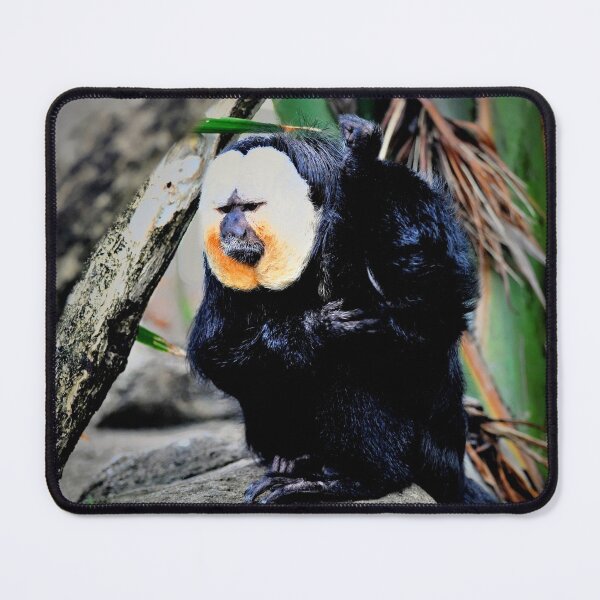 Item preview, White-faced Saki Monkey designed and sold by Savannah Gibbs.