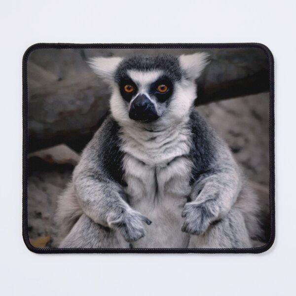 Item preview, Ringtail Lemur designed and sold by Savannah Gibbs.