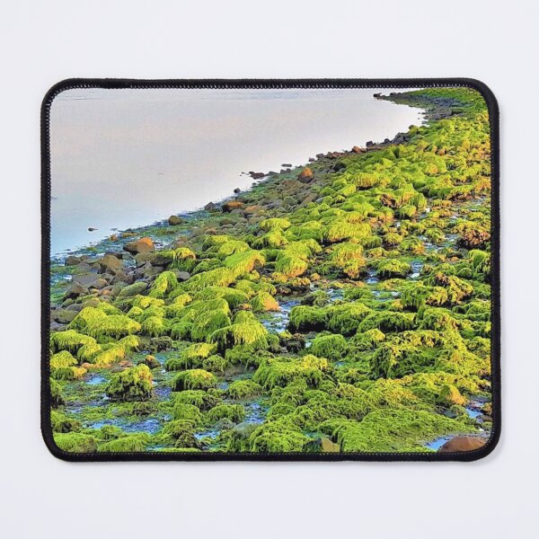Item preview, Wetlands Moss Beach designed and sold by craftsbydaphy.