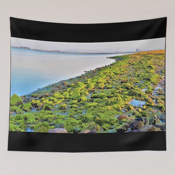 Item preview, Wetlands Moss Beach designed and sold by craftsbydaphy.