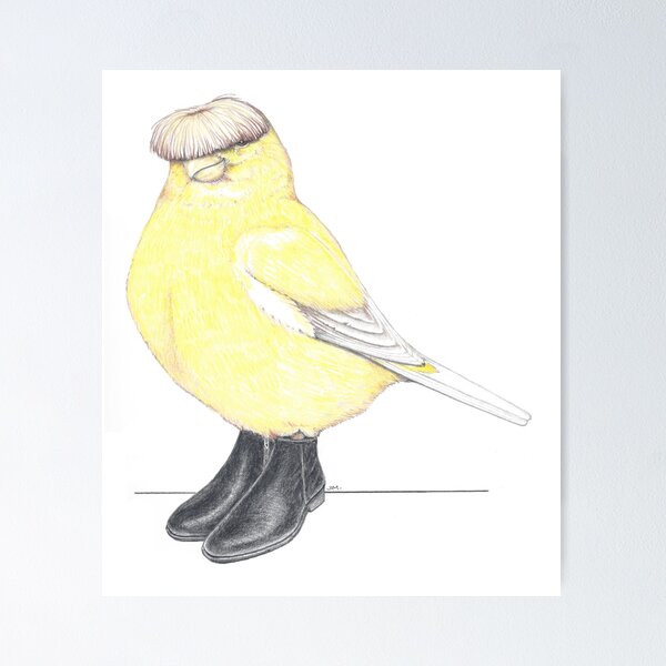 Item preview, Gloster Canary in Beatle Boots designed and sold by JimsBirds.