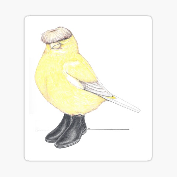 Item preview, Gloster Canary in Beatle Boots designed and sold by JimsBirds.