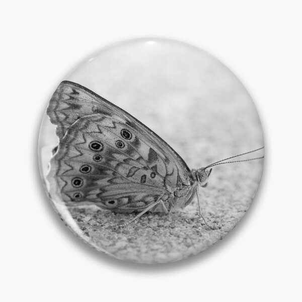 Item preview, Mañana Mariposa Blanco Y Negro designed and sold by Sharon McConnell.