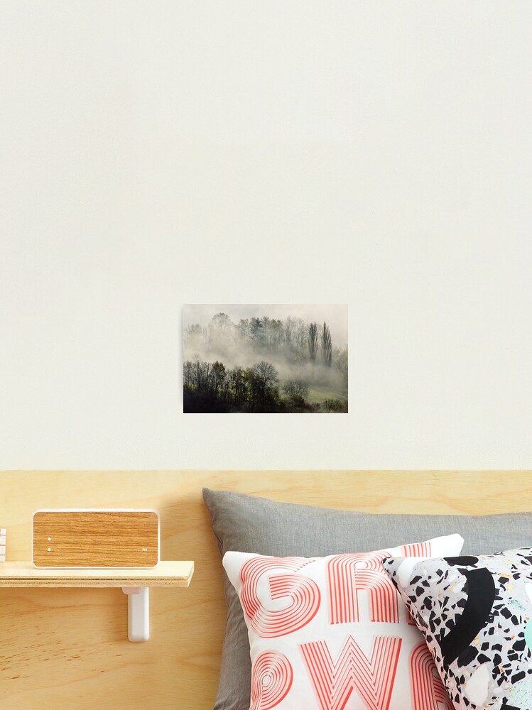 Thumbnail 2 of 3, Photographic Print, A november morning in the mist designed and sold by patmo.