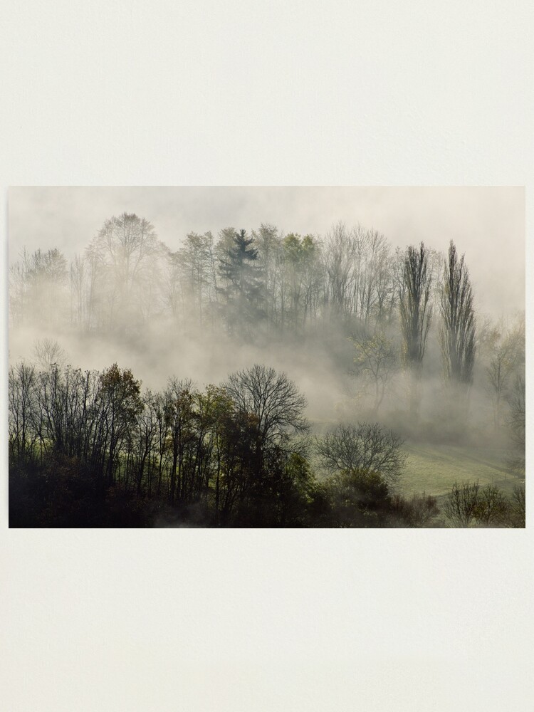 Alternate view of A november morning in the mist Photographic Print