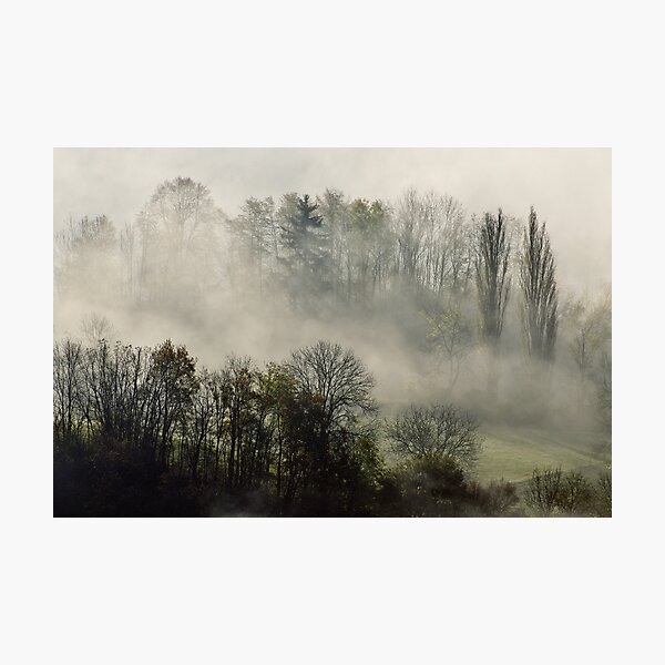 Photographic Print