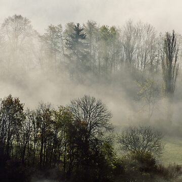 Artwork thumbnail, A november morning in the mist by Patrick Morand