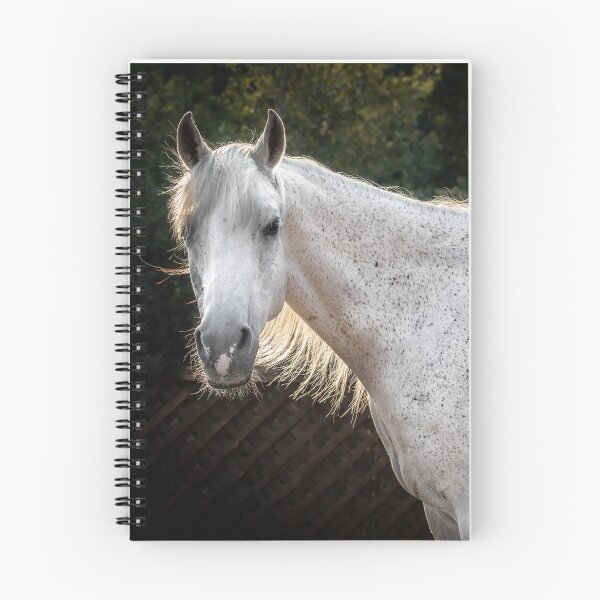 Item preview, Healing Horse Colby designed and sold by Equipowerment.