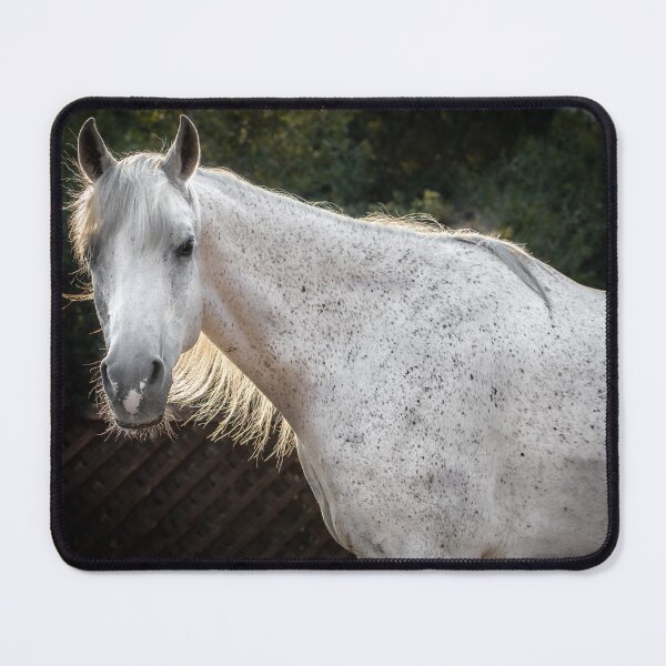 Item preview, Healing Horse Colby designed and sold by Equipowerment.