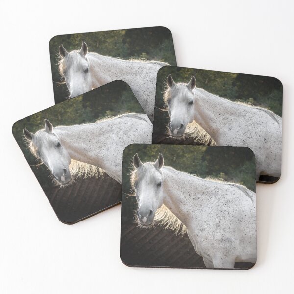Item preview, Healing Horse Colby designed and sold by Equipowerment.