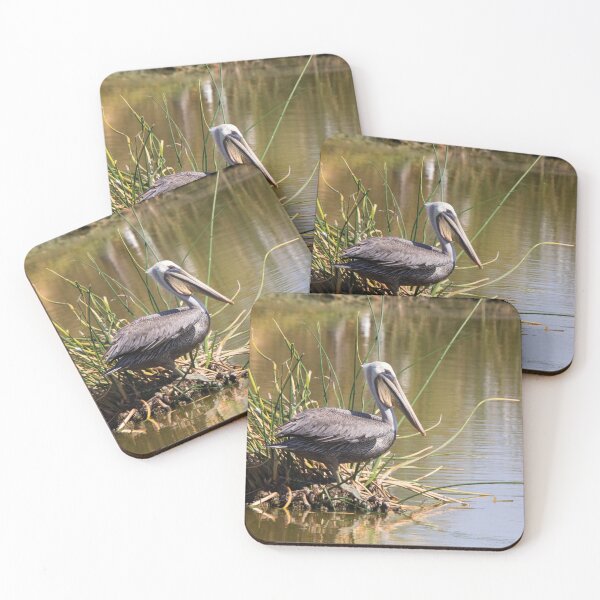 Item preview, Brown Pelican  designed and sold by CarolM.