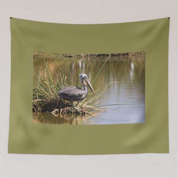 Item preview, Brown Pelican  designed and sold by CarolM.