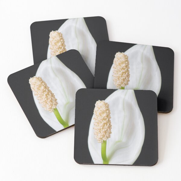 Item preview, Peace Lily on Black designed and sold by Bill Spengler's Photographic Thoughts.