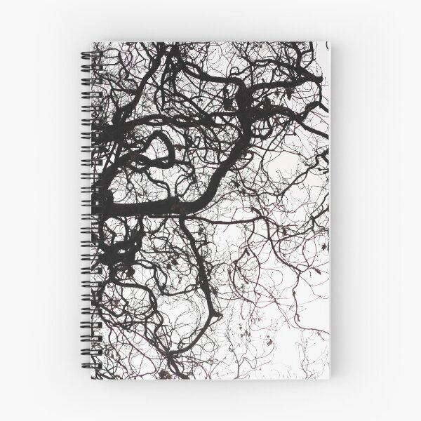 Aperçu de l'œuvre Branches d'arbres tordues à l'automne créée et vendue par Christian Jauregui.