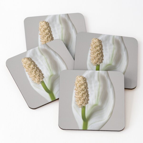 Item preview, A White Peace Lily designed and sold by Bill Spengler's Photographic Thoughts.