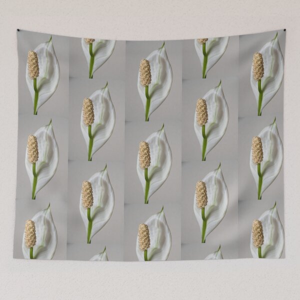 Item preview, A White Peace Lily designed and sold by Bill Spengler's Photographic Thoughts.