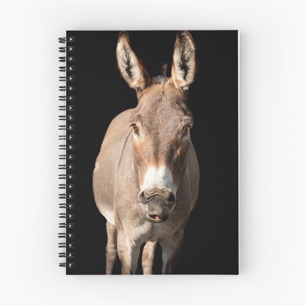 Item preview, Bubba the Donkey designed and sold by Equipowerment.