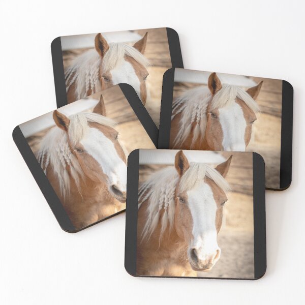 Item preview, Healing Horse Cooper designed and sold by Equipowerment.
