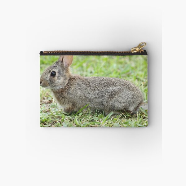 Item preview, Peter Cotton Tail designed and sold by Olivia Plasencia.