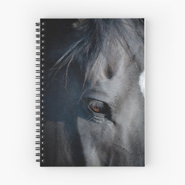 Item preview, Healing Horse Lady designed and sold by Equipowerment.