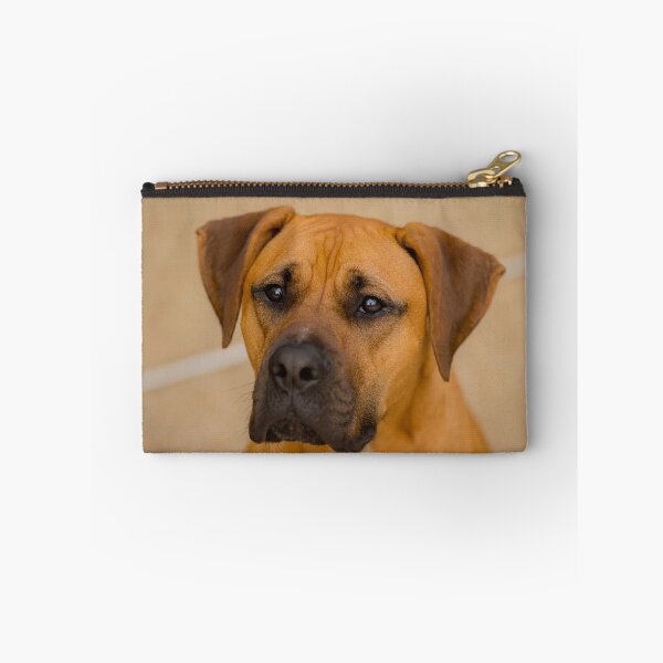 Item preview, My Boy Joey designed and sold by matt1960.