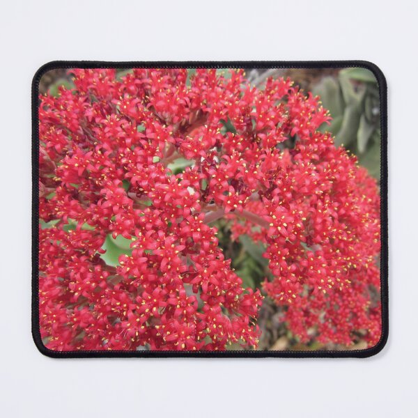 Item preview, Red Floral Delight designed and sold by Honey Myrtle Studio.