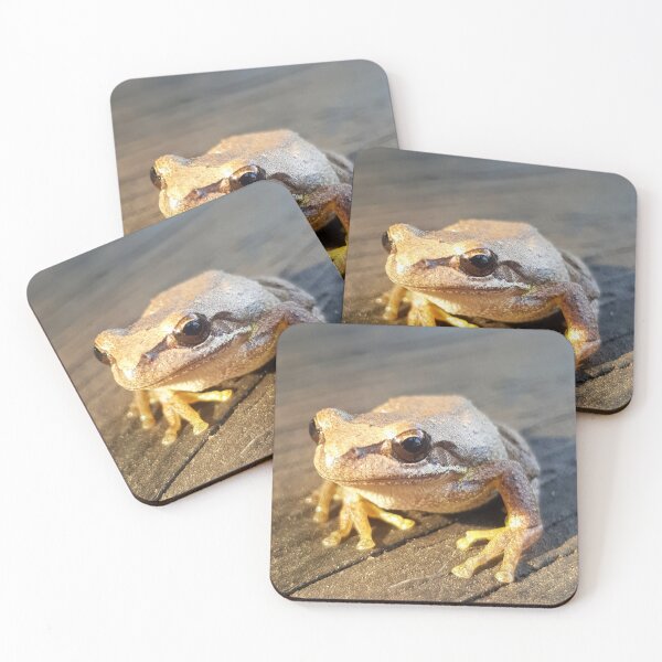 Item preview, Golden Frog  by Adelaide Artist Avril Thomas at Magpie Springs designed and sold by MagpieSprings.