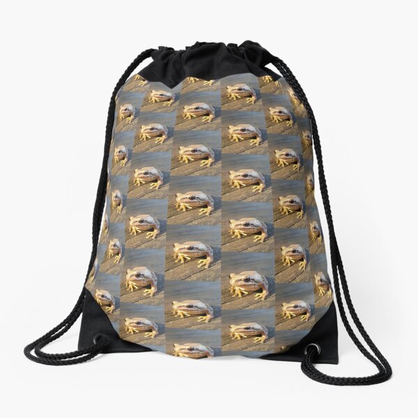 Golden Frog Drawstring Bag