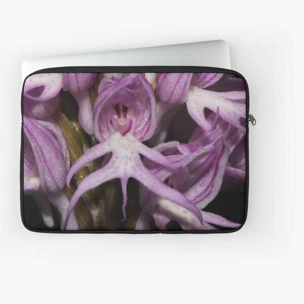 Orchis italica Laptop Sleeve