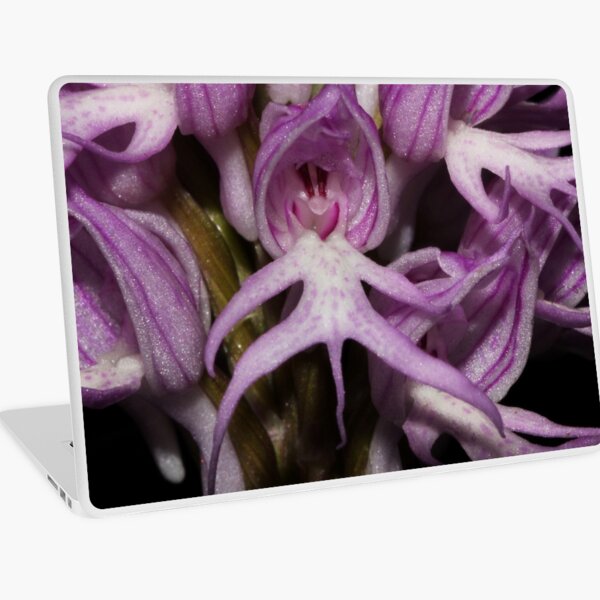 Orchis italica Laptop Skin