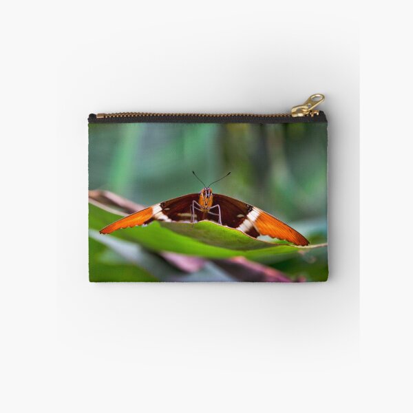 Item preview, Large Mindo Butterfly At Rest designed and sold by alabca.