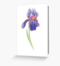 Iris water color painting Greeting Card