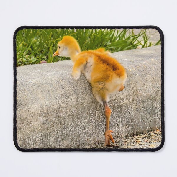 Item preview, Get well soon - greeting card designed and sold by Zina Stromberg.