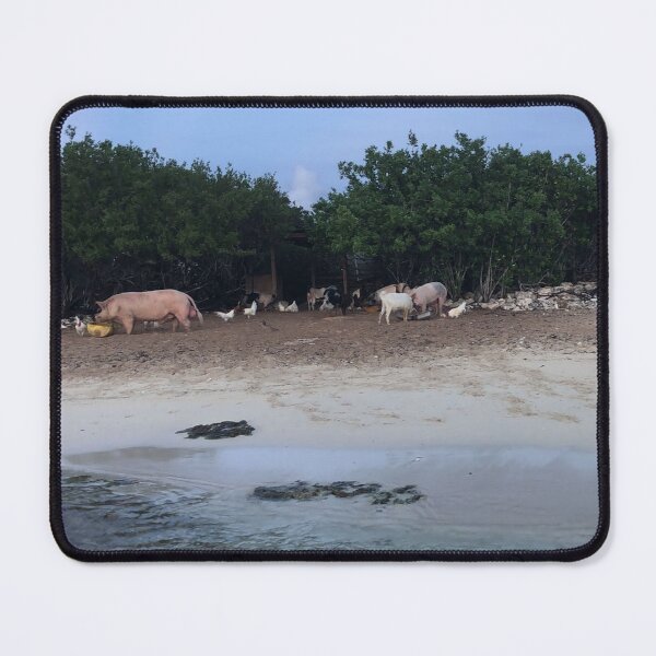 Item preview, Long Island Baha Swimming Pigs and Friends designed and sold by SaSaBoutique.