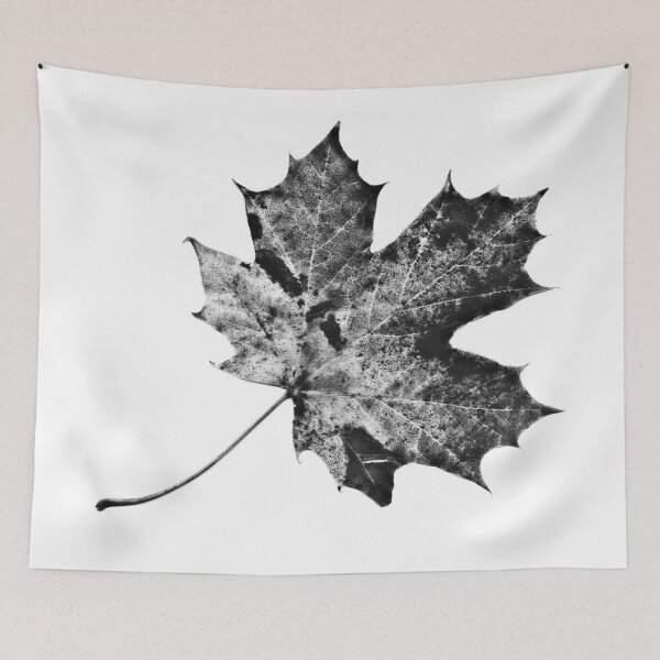 Item preview.