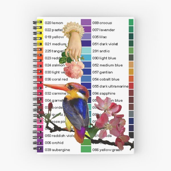 Item preview, Kingfisher Colour Chart designed and sold by Hoopday.
