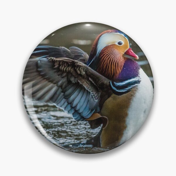 Item preview, Mandarin Stretching designed and sold by Matt Malloy.