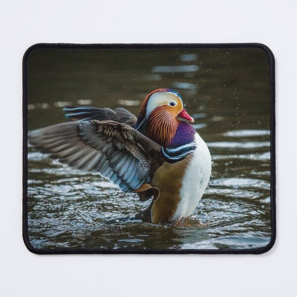 Item preview, Mandarin Stretching designed and sold by Matt Malloy.